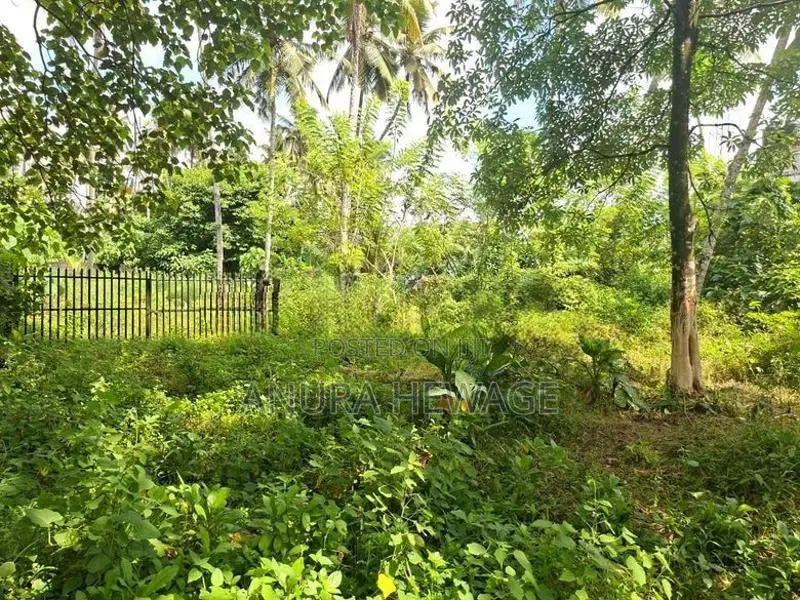කඩුවෙල, පහළ බොමිරිය ප්‍රදේශයෙන් ඉඩමක් විකිණීමට ඇත. (ID : KADU014S)