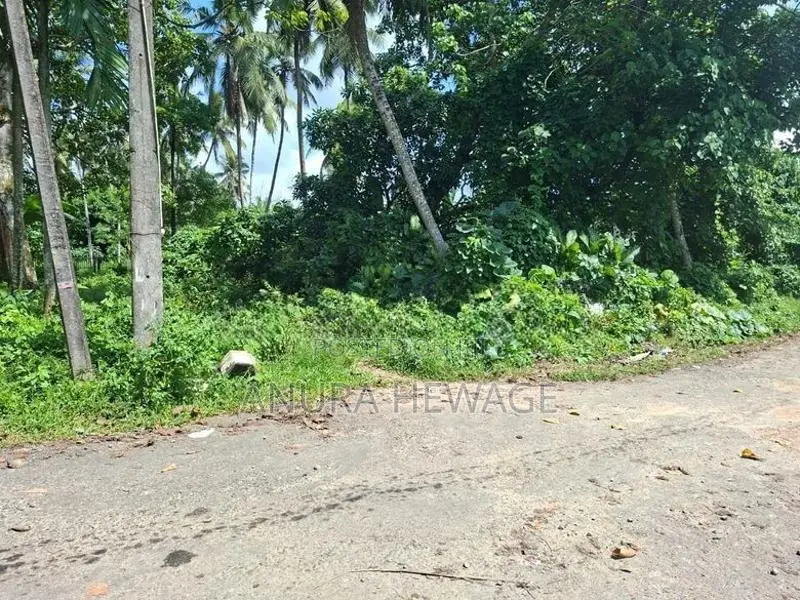 කඩුවෙල, පහළ බොමිරිය ප්‍රදේශයෙන් ඉඩමක් විකිණීමට ඇත. (ID : KADU014S)
