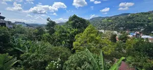 Colonial Type House For Sale in Aniwatta - Kandy
