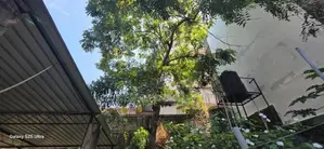 Colombo 4 Property For Sale In Fareed Place