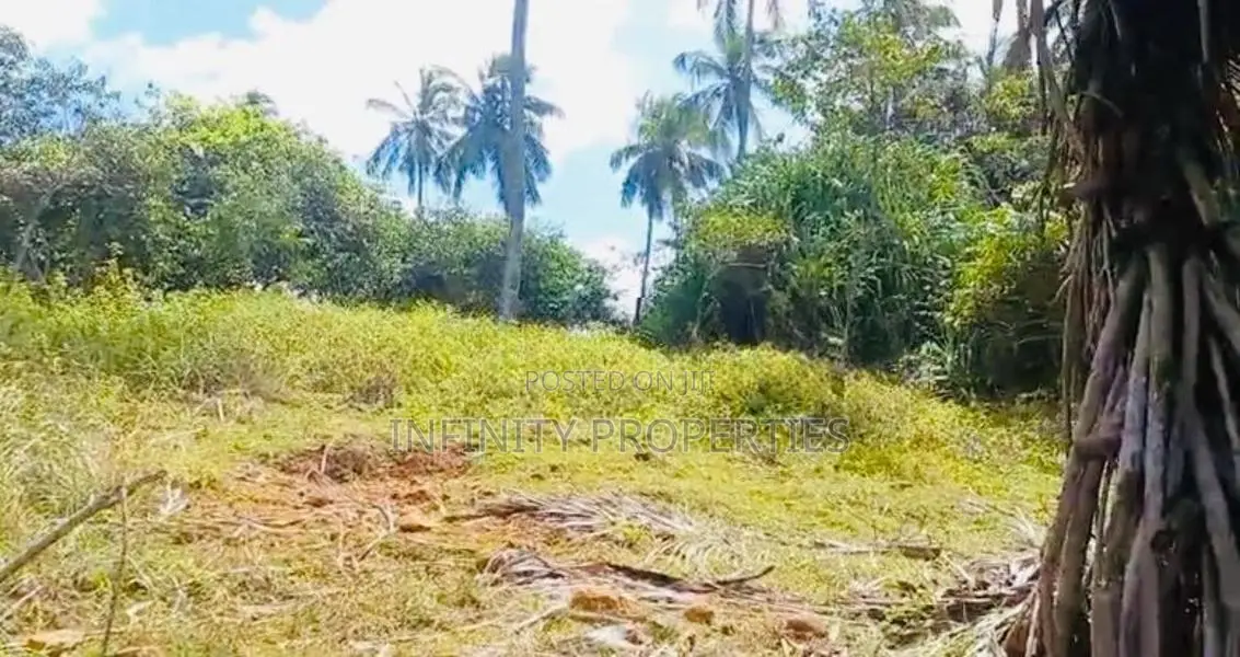 (AFA275) Beach Facing 240 Perch Land Sale At Mawella Dickwella