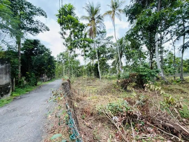 (AFA287) 172 P Land for Sale At Facing Old High Level Road Homagama