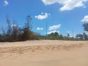 (AFA310) 106 P Land Sale At Usangoda Ambalantota