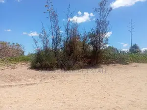 (AFA310) 106 P Land Sale At Usangoda Ambalantota