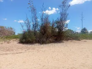 (AF038) 106 P Land Sale At Usangoda Ambalantota