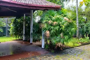 (SDS-517) Valuable Single Story House for Sale in Kiribathgoda