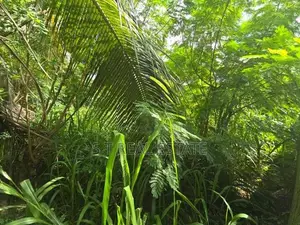 10P Square Bare Land For Sale In Maharagama