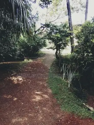 Land for Sale in Piliyandala WR02100