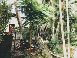 Land for Sale in Piliyandala WR02100