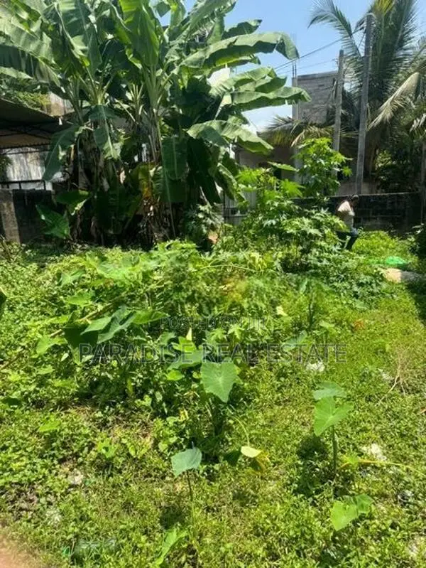 BARE LAND FOR SALE BORALESGAMUWA