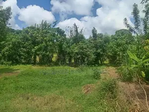 BARE LAND FOR SALE KESBEWA