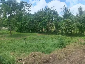 BARE LAND FOR SALE KESBEWA