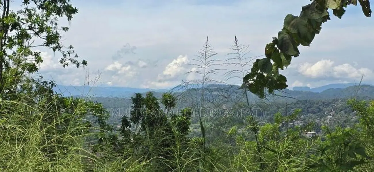කඳුවැටියන් දර්ශනය වන පර්චස් 20 ක් මහනුවරින් විකිණීමට.