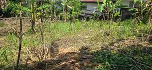 කඳුවැටියන් දර්ශනය වන පර්චස් 20 ක් මහනුවරින් විකිණීමට.