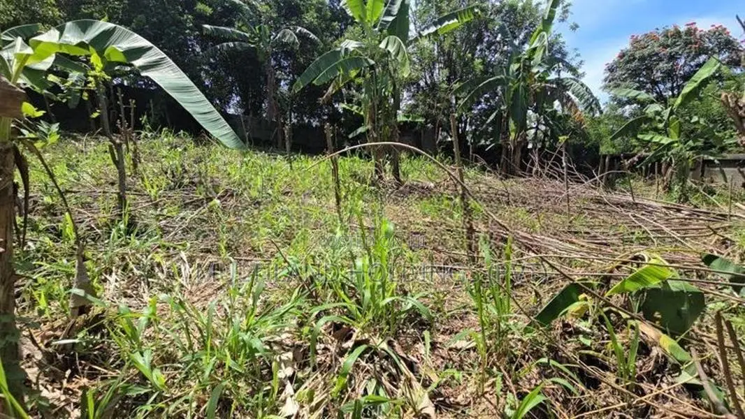 කඳුවැටියන් දර්ශනය වන පර්චස් 20 ක් මහනුවරින් විකිණීමට.