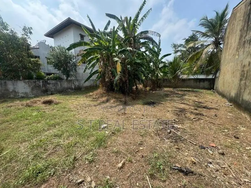 10.90P High Residential Bare Land For Sale In Bokundara