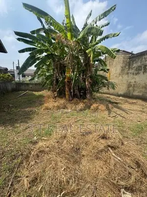 10.90P High Residential Bare Land For Sale In Bokundara