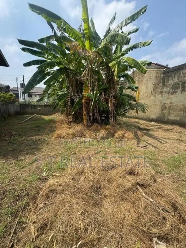 10.90P High Residential Bare Land For Sale In Bokundara