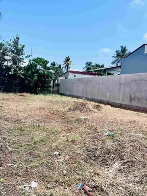 Perfect Land for Sale – Mahabage / Wattala (99m to Main Road)