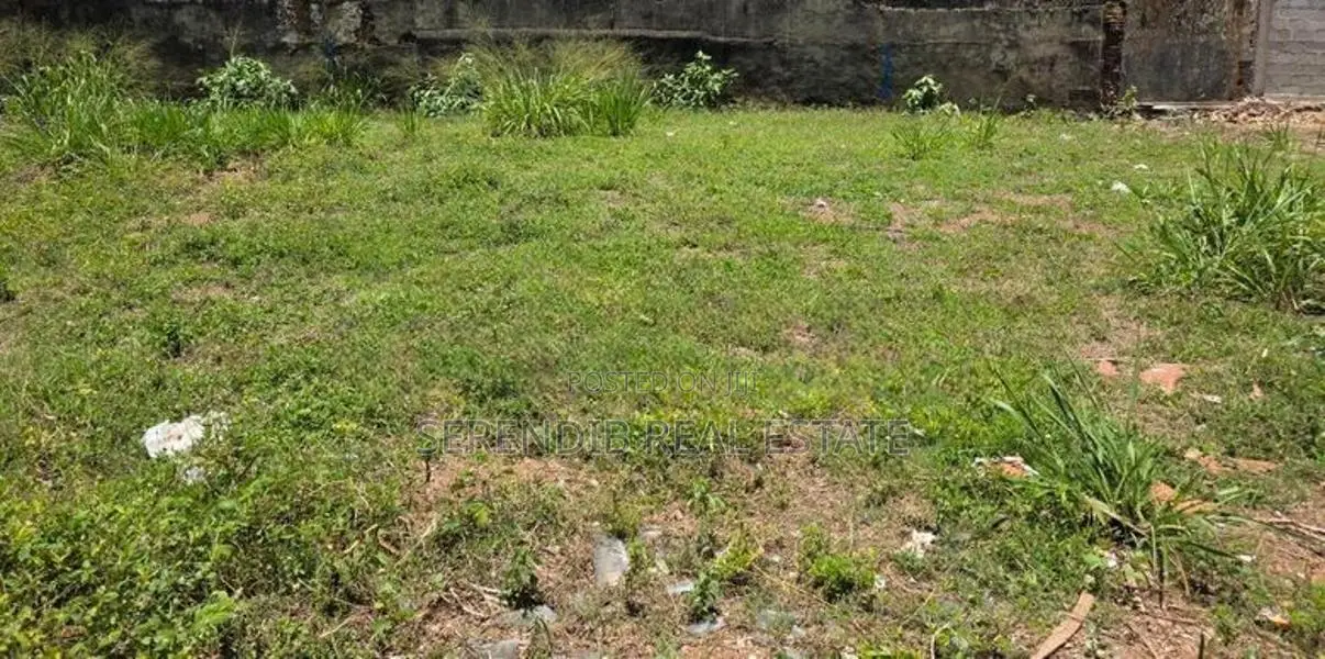 50 Perches Land Rent in Mt Lavinia