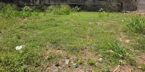 50 Perches Land Rent in Mt Lavinia
