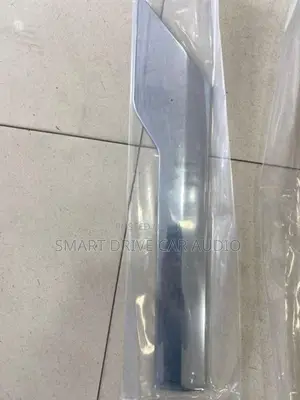Toyota Raize Door Molding