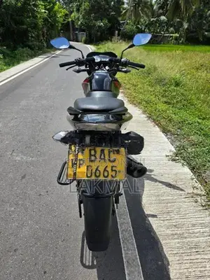 Bajaj Pulsar 135 Pulser 2013