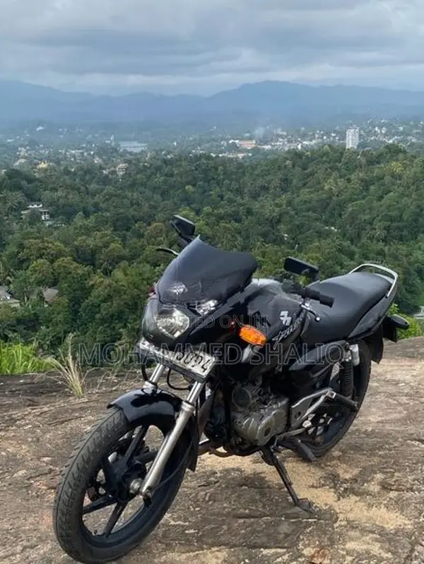Bajaj Pulsar 150 DTS-i 2008