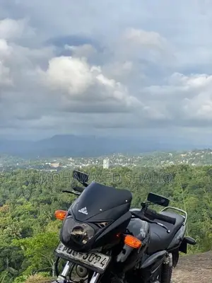 Bajaj Pulsar 150 DTS-i 2008