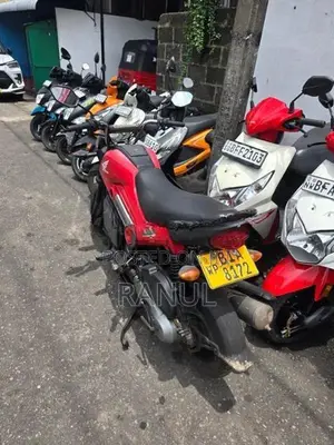 Honda Navi 2019