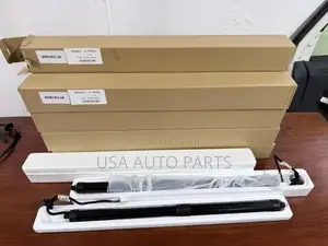 Nissan X Trail Hnt32 Dicky Shocks
