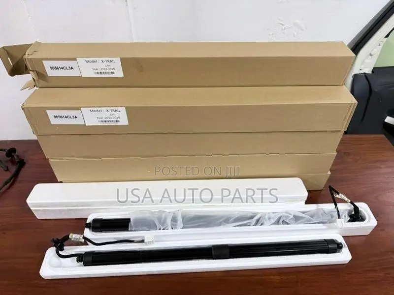 Nissan X Trail Hnt32 Dicky Shocks