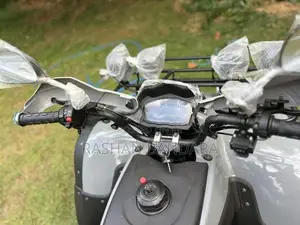 Brand New 250cc ATV 2026