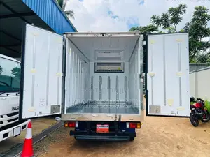 Isuzu Elf Freezer Truck 2018