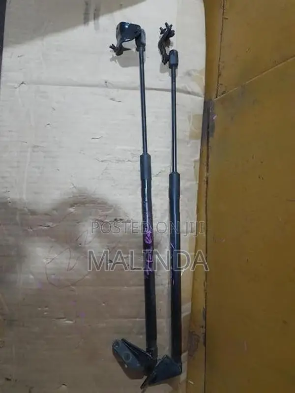 Nissan Leaf (ZE1) Dicky Shocks - Reconditioned