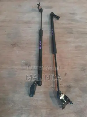 Nissan Leaf (ZE1) Dicky Shocks - Reconditioned