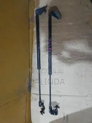 Nissan Leaf (ZE1) Dicky Shocks - Reconditioned