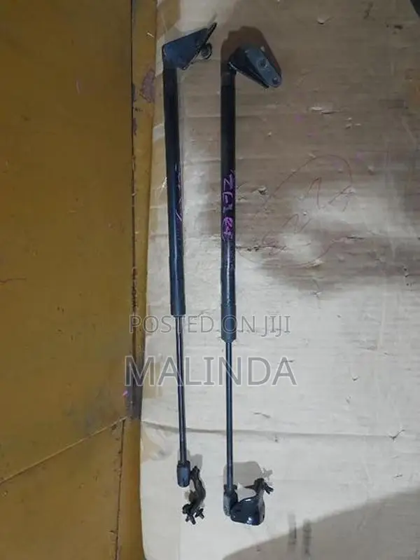 Nissan Leaf (ZE1) Dicky Shocks - Reconditioned