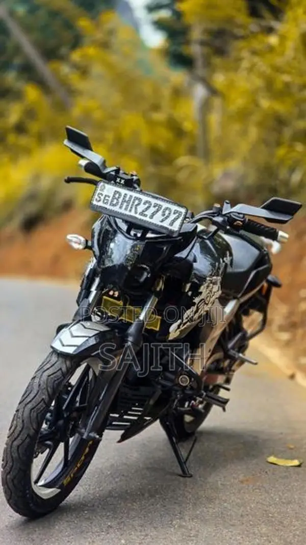 TVS Apache RTR 160 2019