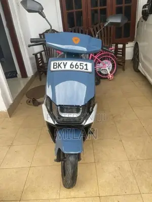 Yadea Ruibin 2025