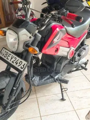 Honda Navi 2017