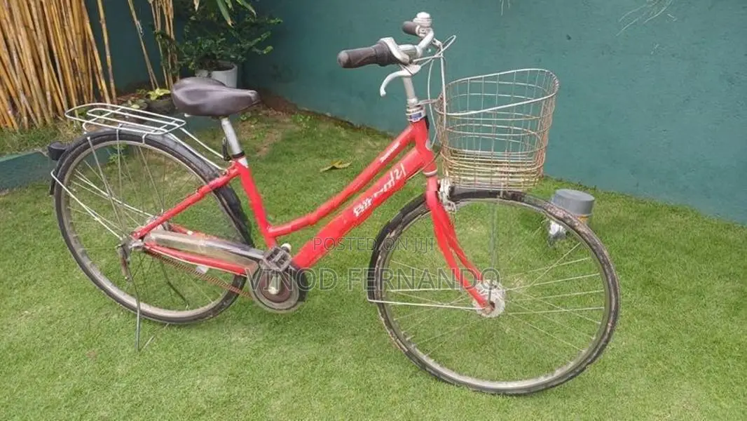 Bridgestone Japan Bicycle