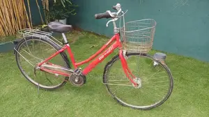 Bridgestone Japan Bicycle