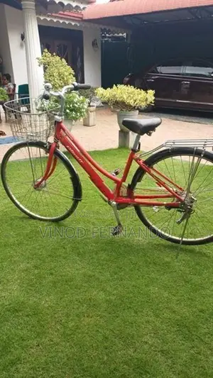 Bridgestone Japan Bicycle