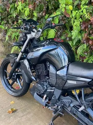 Yamaha FZ S 2011