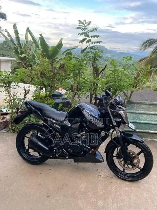 Yamaha FZ S 2011
