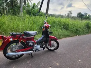 Honda Little Cub 2015