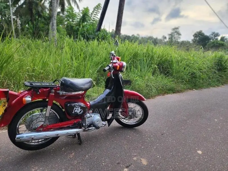 Honda Little Cub 2015