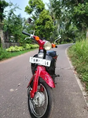 Honda Little Cub 2015