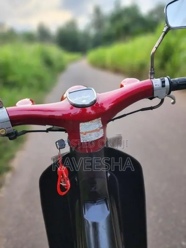 Honda Little Cub 2015